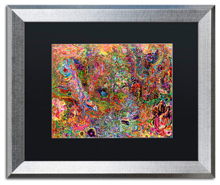 Josh Byer 'The Dove And The Crow' Art, Silver Frame, Black Mat, 20x16