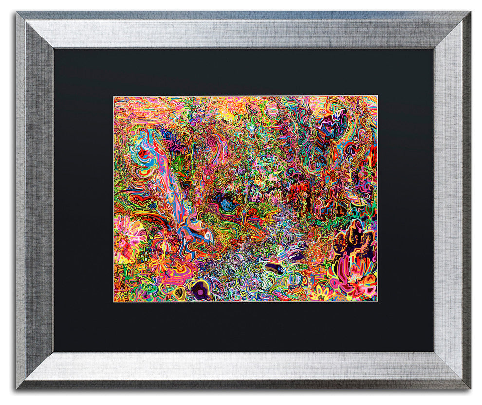 Josh Byer 'The Dove And The Crow' Art, Silver Frame, Black Mat, 20x16