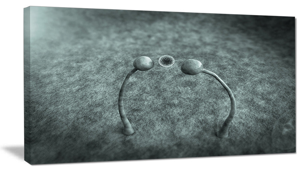Fungus on Leather Surface, Landscape Canvas Art Print, 40x20