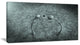 Fungus on Leather Surface, Landscape Canvas Art Print, 40x20