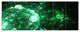 Green Spherical Water Droplets, Floral Canvas Art Print, 70"x28", 6 Panels