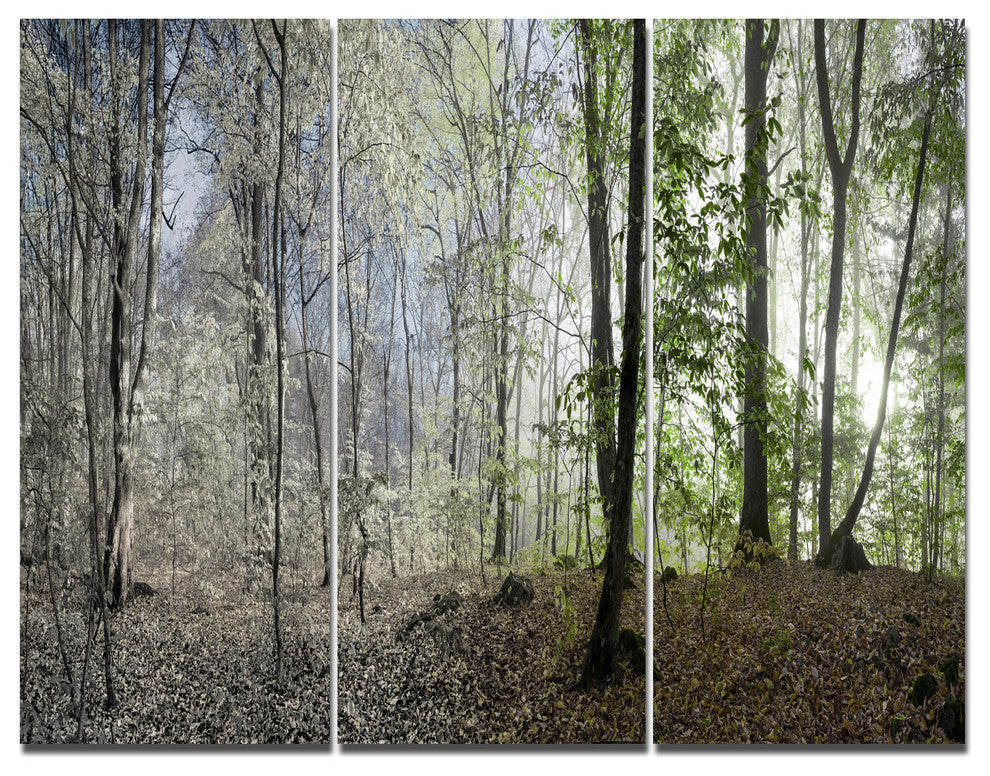 Green Morning in Forest Panorama, Landscape Triptych Canvas Art, 36x28, 3 Panels