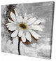 Abstract Daisy Flower, Fine Art Gallery Wrapped Canvas, 24"x24"