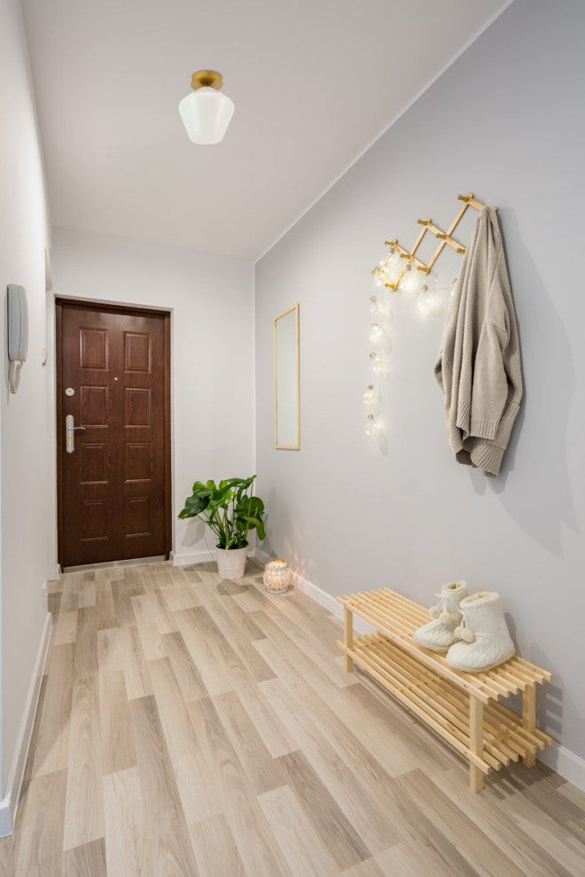 Brass Finish And Frosted White Glass 1-Light Flush Mount