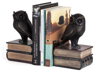 Danya B. 2-Piece Owl on Books Bookend Set