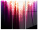 "Purple With Magic Light" Glossy Metal Wall Art, 3 Panels, 36"x28"