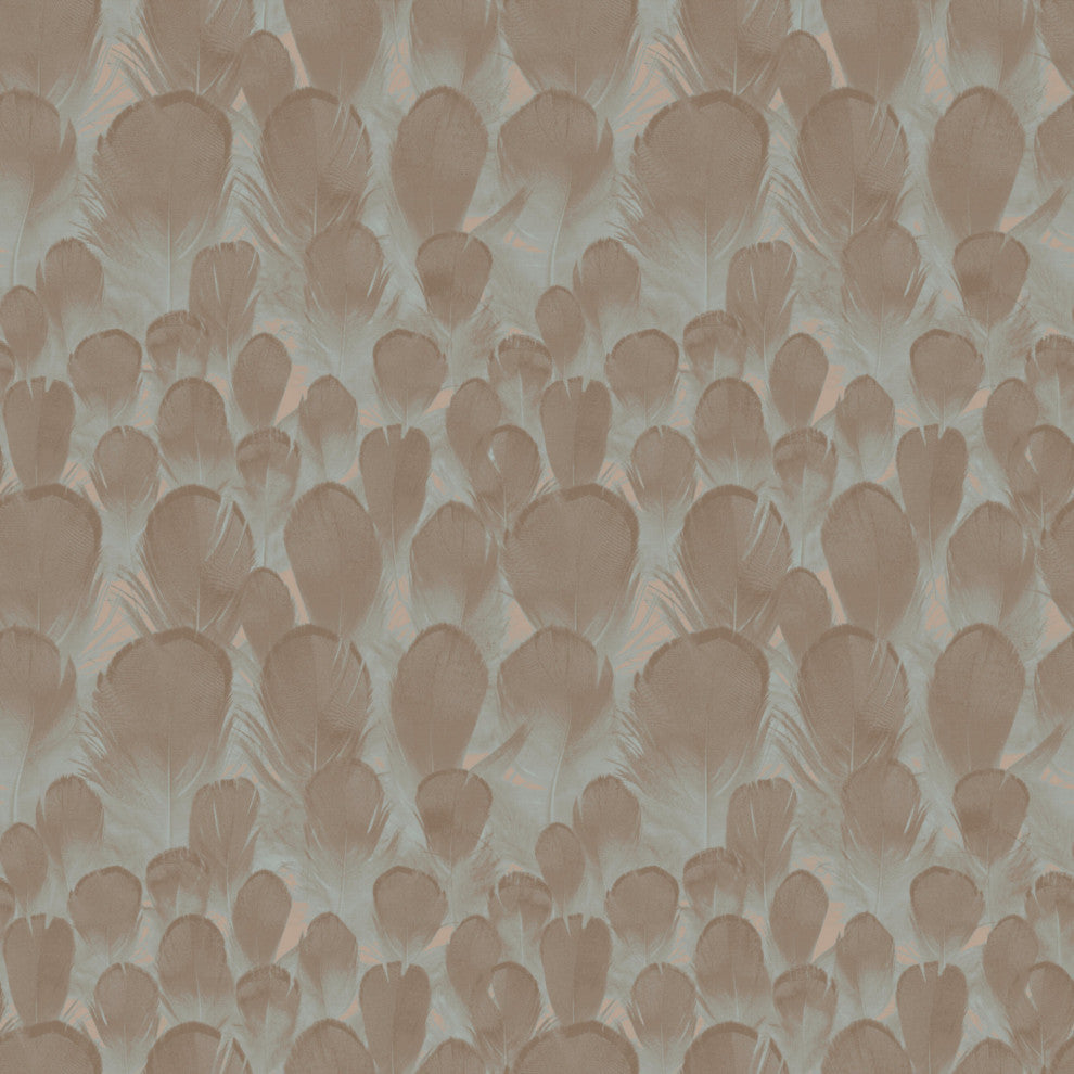 Brown and Turquoise Feathers Wallpaper