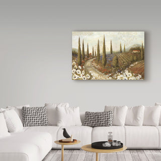 Lisa Audit 'Tuscany Fields I' Canvas Art, 24"x16"