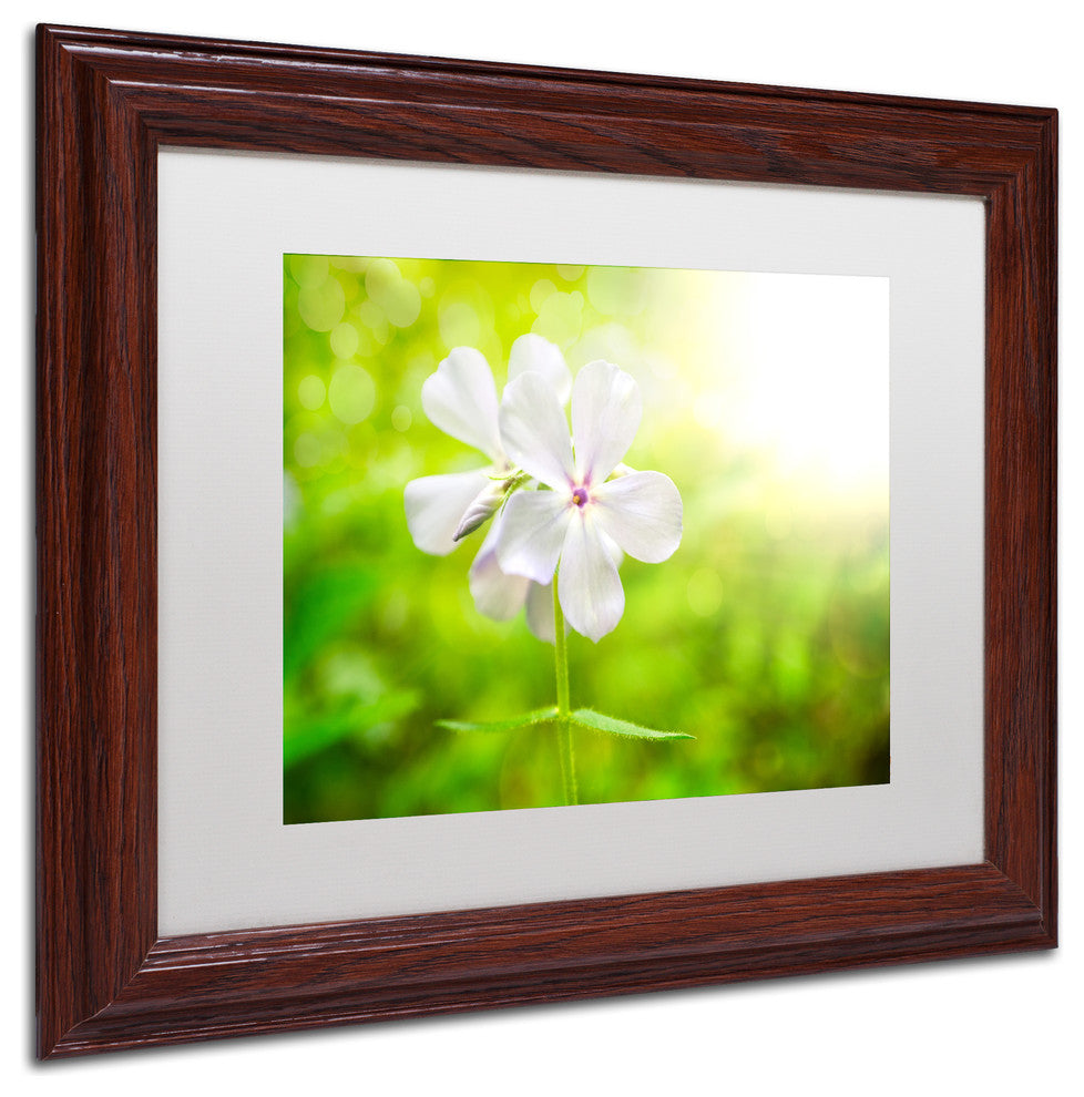 PIPA Fine Art 'Beauty of the Forest Floor' Matted Framed Art, 14x11