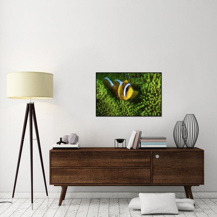 "Yellow Clownfish On Green Anemon"  by Barathieu Gabriel, 37x25"