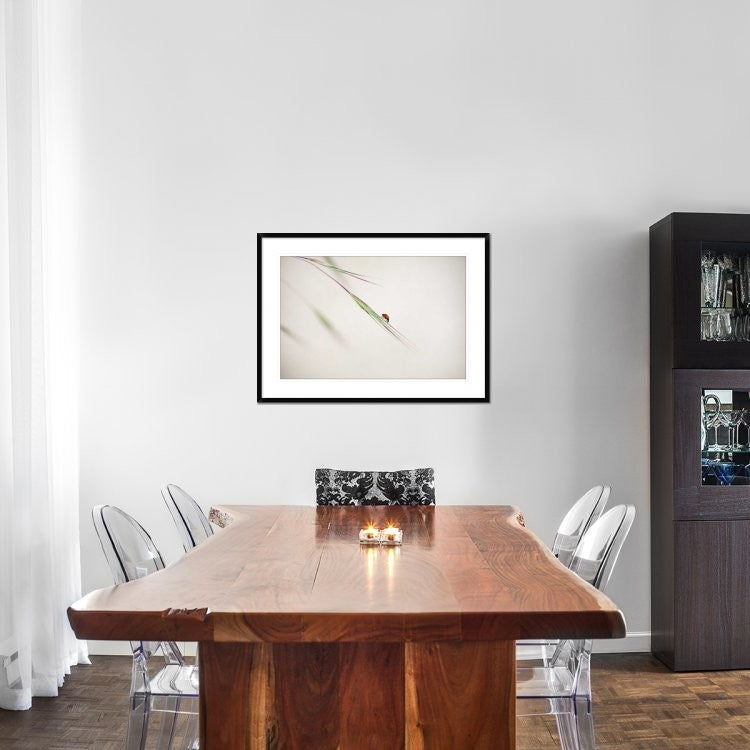 "Untitled" Framed Digital Print by Anna Cseresnjes, 38"x28"