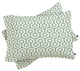 Deny Designs Caroline Okun Icicle Pillow Shams, Queen
