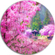 Japanese Cherry Flowers, Floral Round Metal Wall Art, 11"