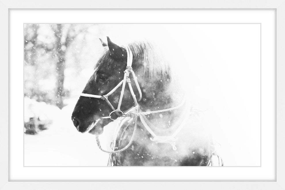 Marmont Hill, "Cold Breath" Framed Painting Print, 36x24