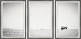 A Lone Bison Triptych, Set of 3, 12x18 Panels