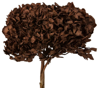 Vickerman Natural Botanicals 15 Hydrangea With Multiple Branch Segments