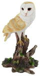 Barn Owl Vigilantly Perched on Tree Stump Statue