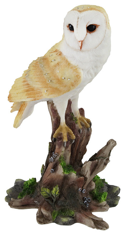 Barn Owl Vigilantly Perched on Tree Stump Statue