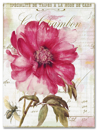 Color Bakery 'Pink Peony' Canvas Art, 14x19