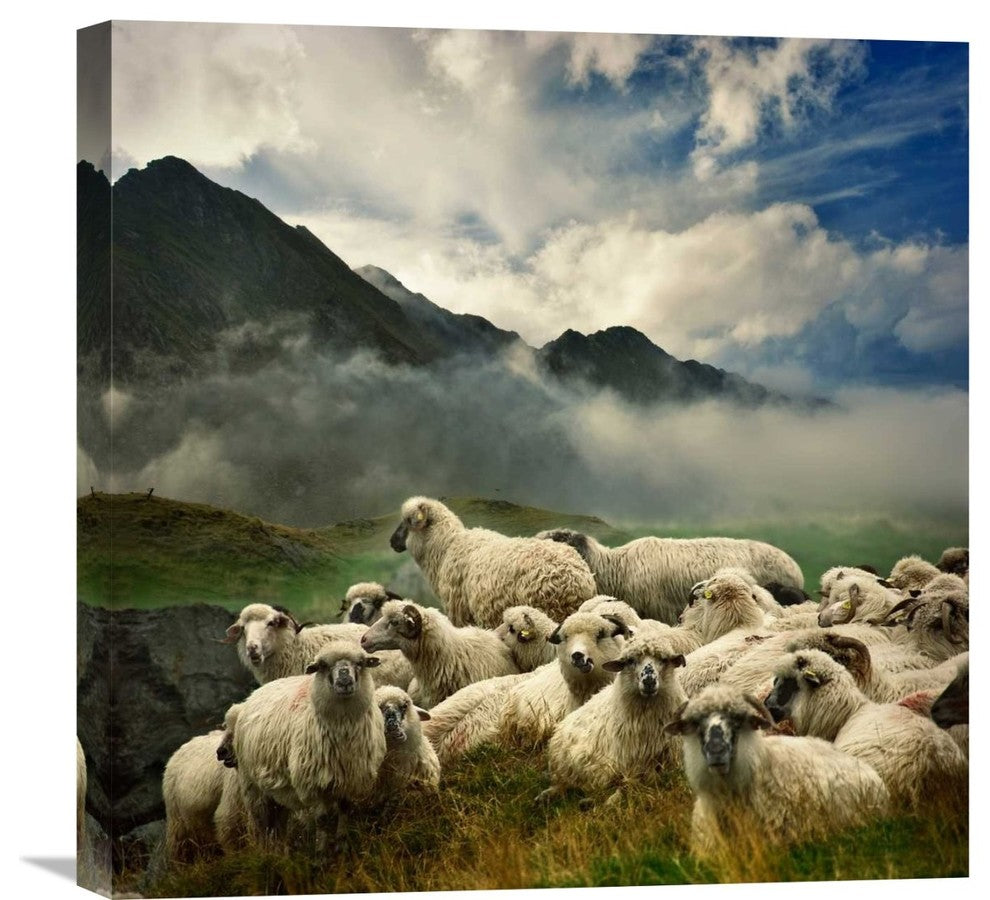 "The Silence Of The Lambs" Stretched Canvas Giclee by Istvan Kadar, 22"x22"