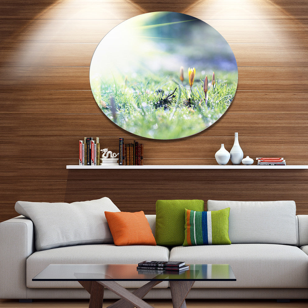 Beautiful First Spring Flowers At Dawn, Floral Round Wall Art, 36"