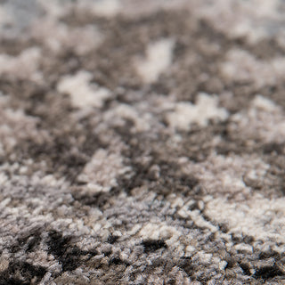 Alessana Cheally Black Bordered Area Rug, 8'9"x11'9"