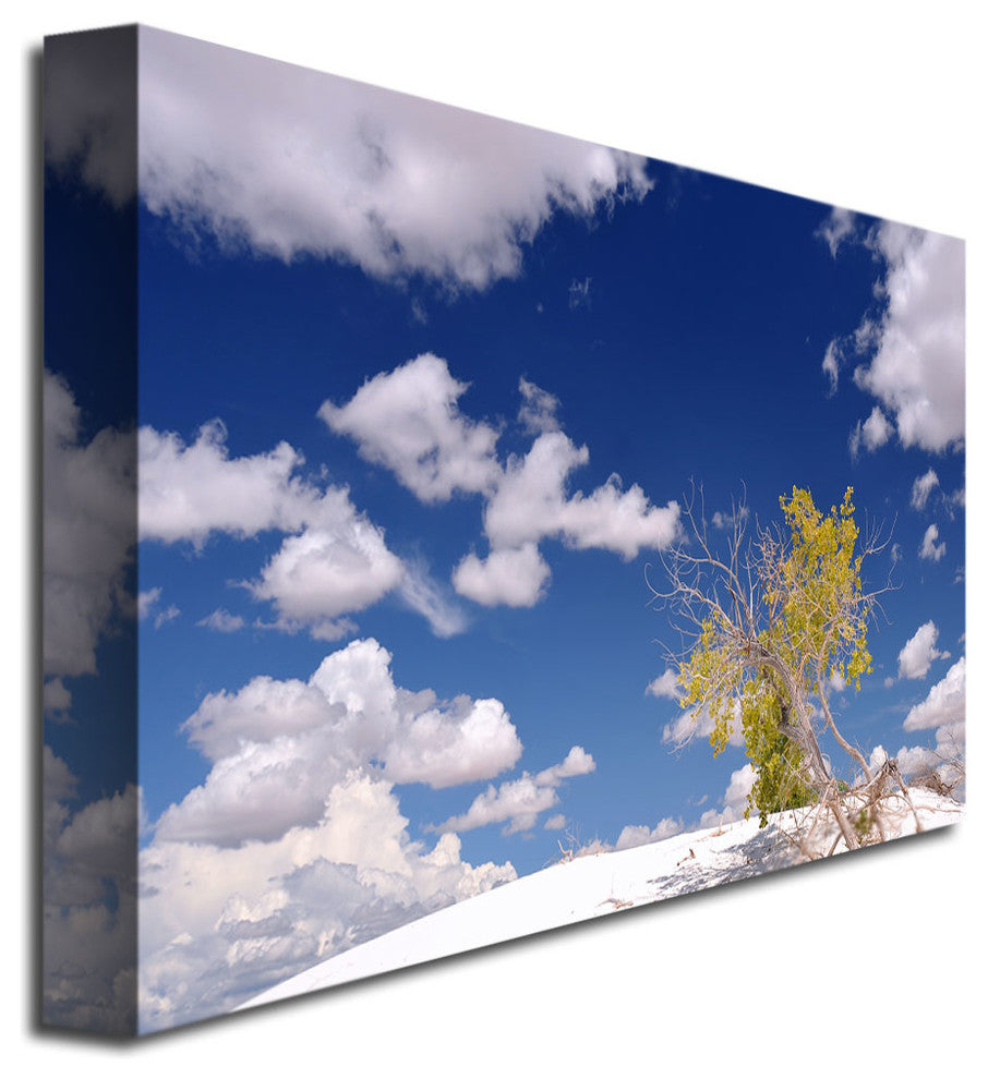 ''Clouds and Loneliness'' Canvas Art by Philippe Sainte-Laudy
