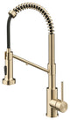 Bolden Commercial Style 2-Function Pull-Down 1-Handle 1-Hole Kitchen Faucet, Spot Free Antique Champagne Bronze (Filter Faucet)