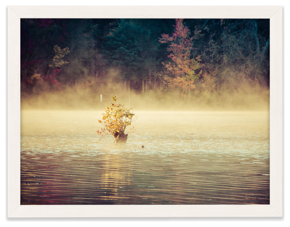 Golden Mist on Waples Pond Framed Photo Paper Wall Art Prints, White, 12" X 16"