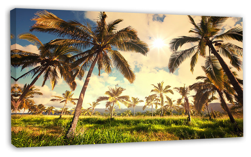 Beautiful Palm Plantation in Hawaii, African Landscape Canvas Print, 32"x16"