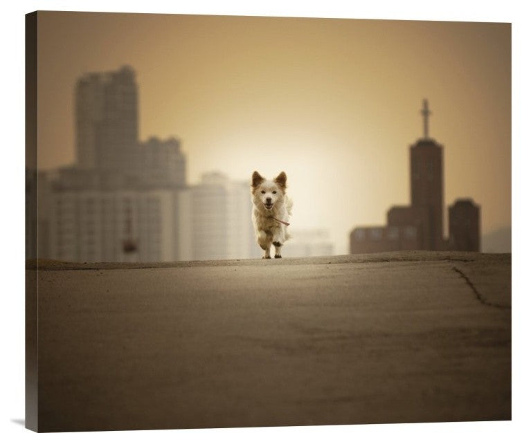 "Be With You" Stretched Canvas Giclee by Biduri Chang-Hwan Park, 22x19"
