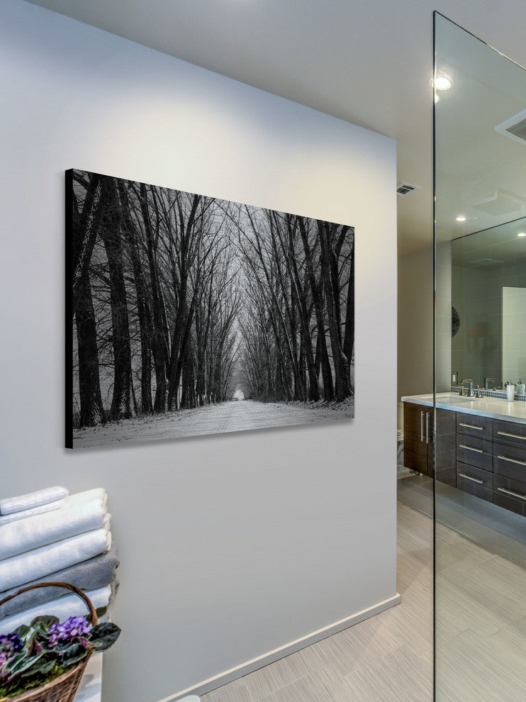 "Rows of Trees" Print on Brushed Aluminum, 60"x40"