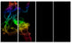 Colorful Abstract Smoke Waves, Large Abstract Canvas Wall Art, 48"x28", 4 Panels