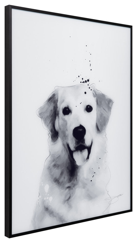 "Golden Retriever" Black and White Pet Art on Printed Glass with Anodized Frame