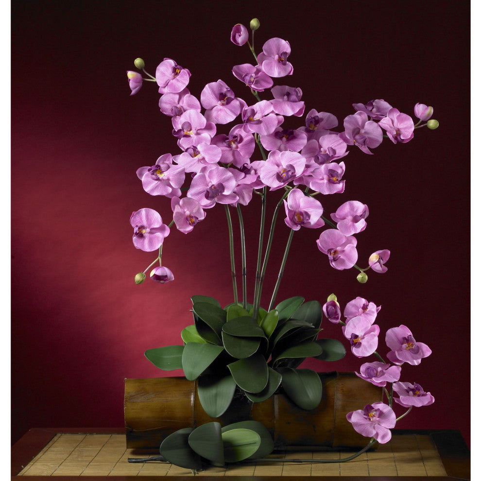 Phalaenopsis Stem, Set of 6