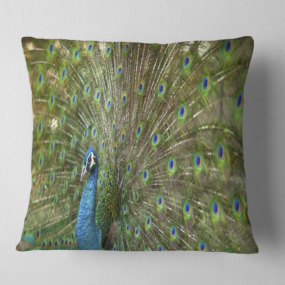 Beautiful Peacock with Feathers Animal Throw Pillow, 16"x16"