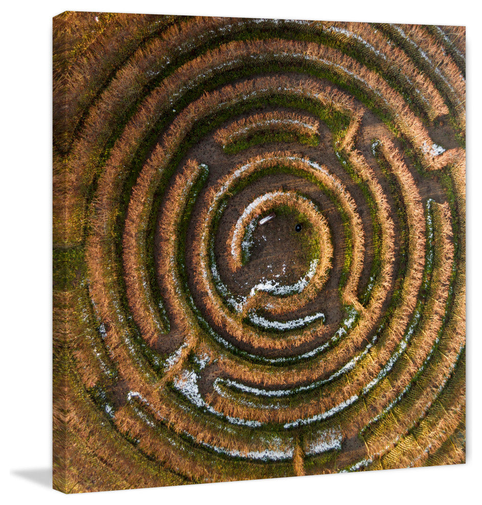 "Crop Circle" Print on Canvas by Karolis Janulis