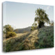 "Oak Tree - 36" By Alan Blaustein, Giclee Print on Gallery Wrap Canvas