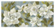 "Gardenias on Slate Blue Crop" Digital Paper Print by Silvia Vassileva, 26"x14"