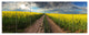 Sunset over Canola Panorama, Landscape Canvas Art Print, 70"x28", 6 Panels