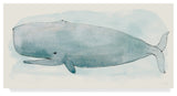 Sara Zieve Miller 'Sea Life V Whale' Canvas Art
