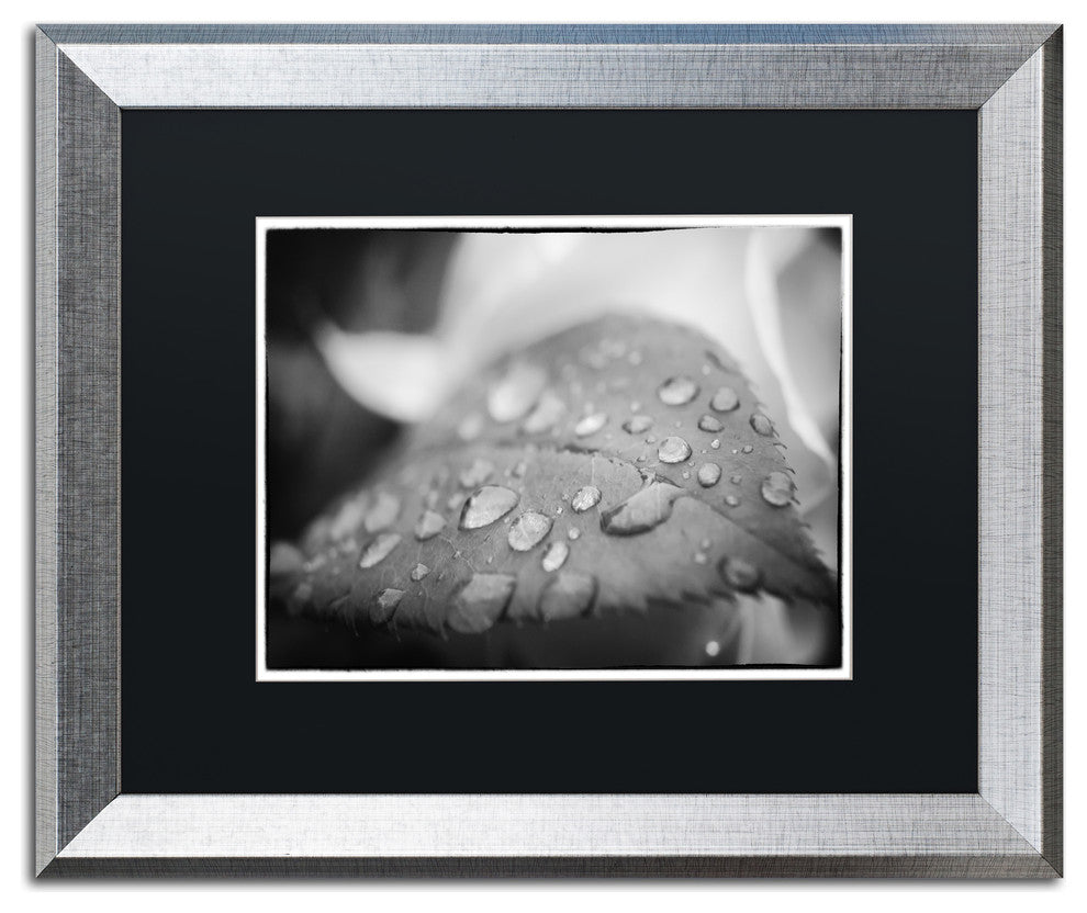 PIPA Fine Art ''Dew on Leaf of Rose Plant'' Matted Framed Art, 20x16
