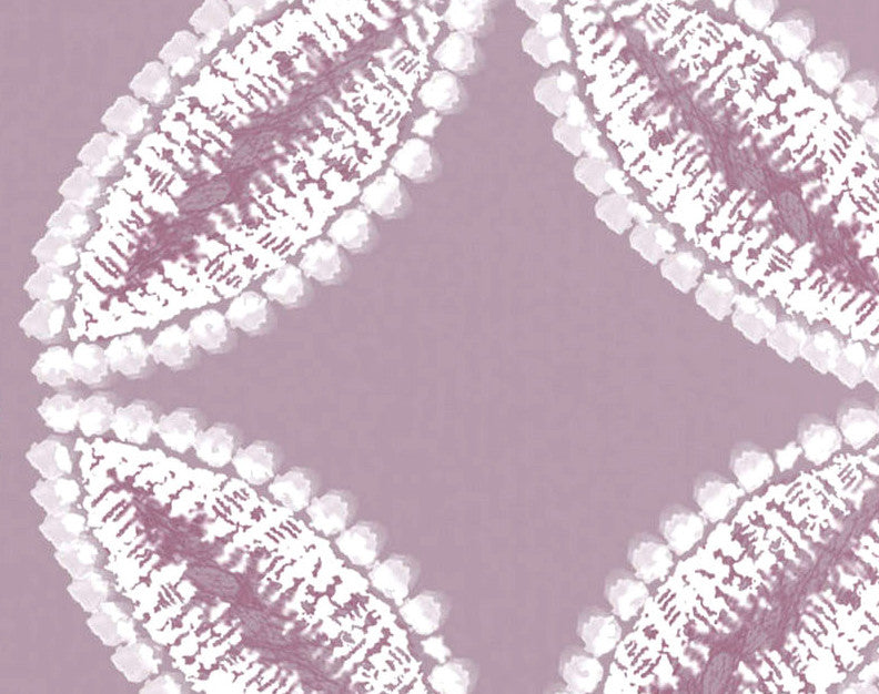 Tidepool, Geometric Print Kitchen Towel, Lavender