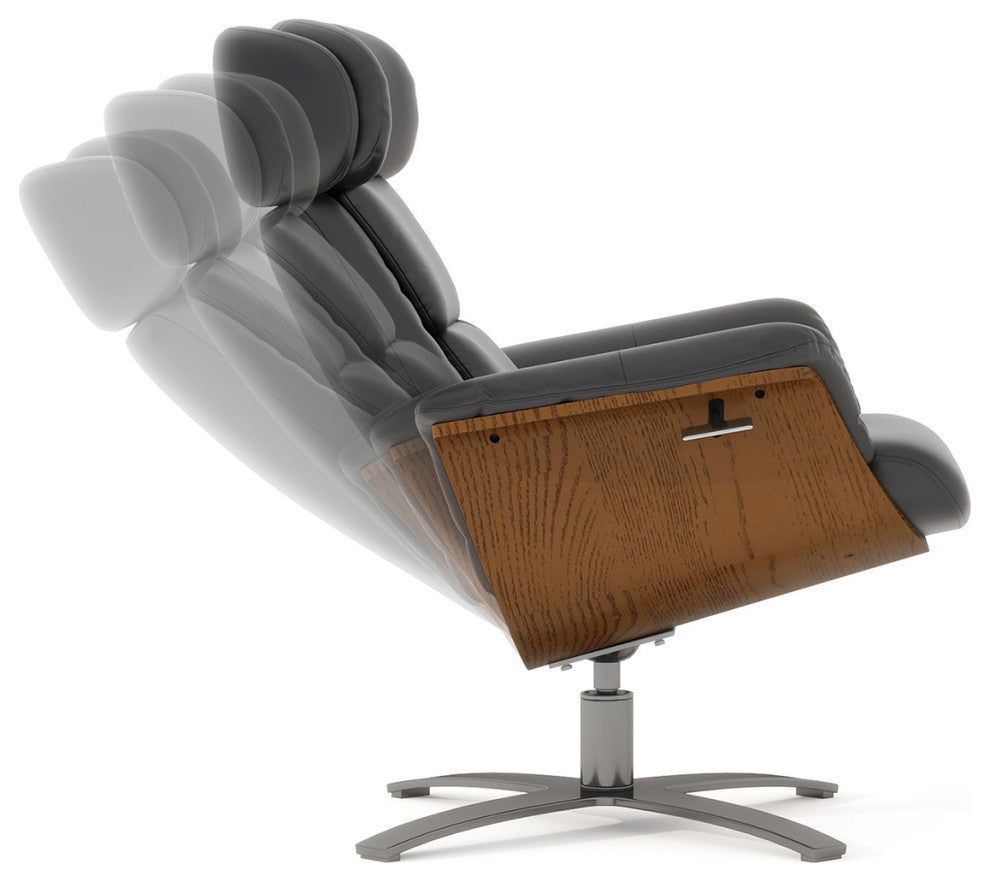 Jovan 31.5" Genuine Leather Adjustable Recliner Lounge Chair, Shadow Gray