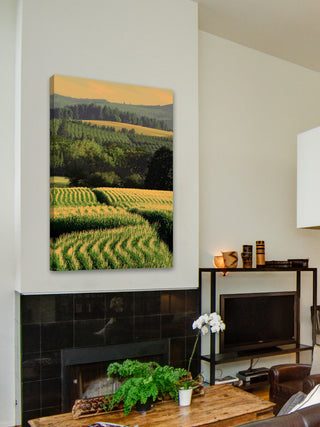 "Corn Rows" Painting Print on Canvas