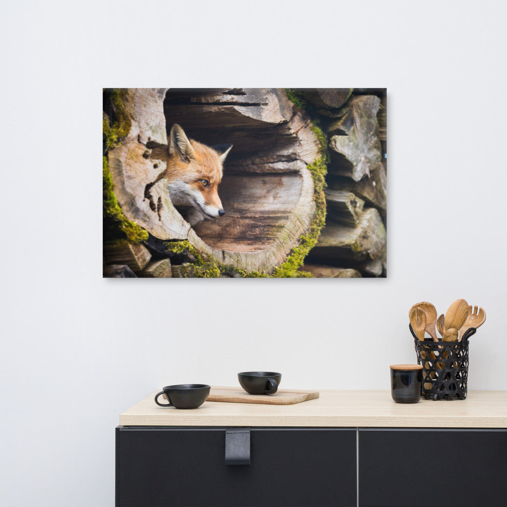 Young Red Fox Face In Mossy Stump Animal Wildlife Photo Canvas Wall Art Prints, 24" X 36"