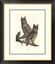 "Great Horned Owl (decorative border)"  by John James Audubon, 28x34"