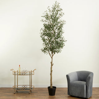 Full product on white background, front-facing, no text; matches primary product criteria.