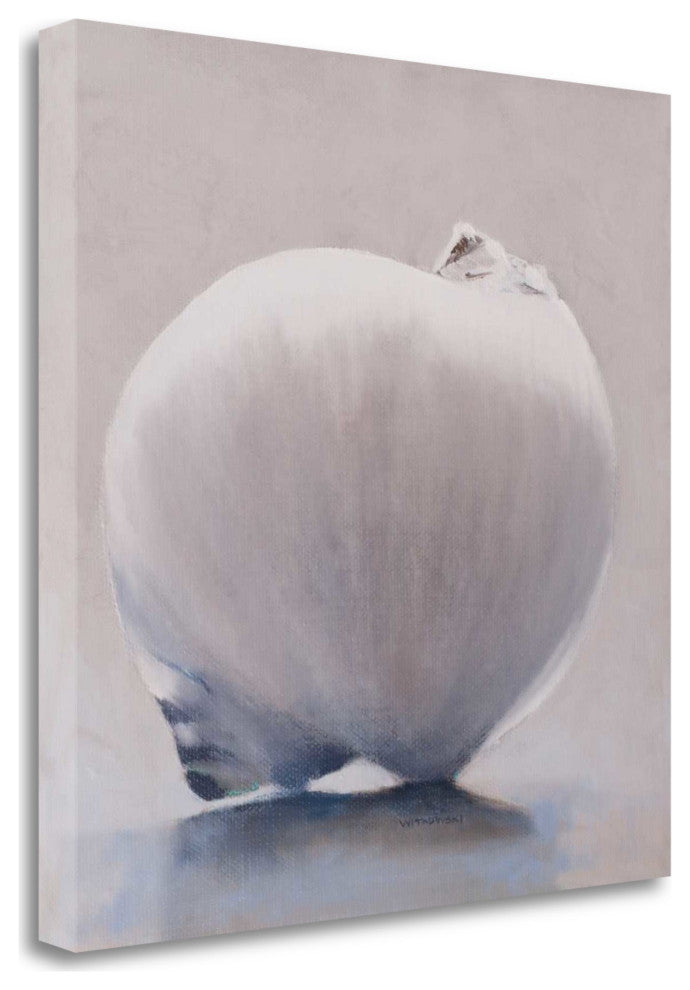 20" Unique View of Sea Shell Giclee Wrap Canvas Wall Art