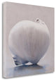 20" Unique View of Sea Shell Giclee Wrap Canvas Wall Art